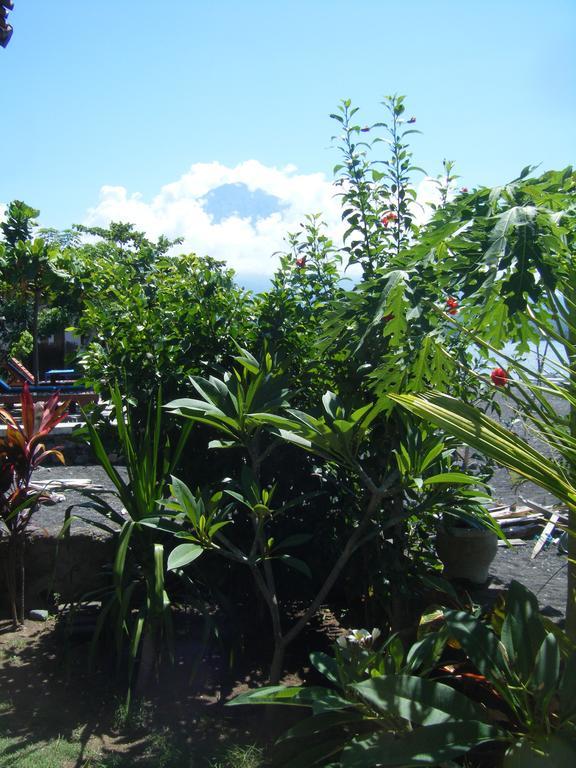 Alur Beach Homestay Amed Buitenkant foto
