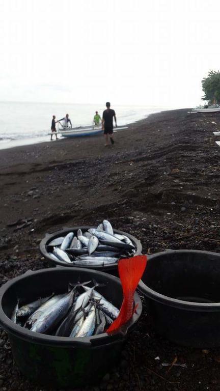 Alur Beach Homestay Amed Buitenkant foto